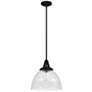 Hunter Cypress Grove Natural Iron with Clear Glass 1 Light Pendant