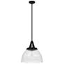 Hunter Cypress Grove Natural Iron with Clear Glass 1 Light Pendant