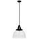 Hunter Cypress Grove Natural Iron with Clear Glass 1 Light Pendant