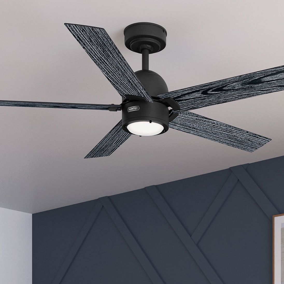 Hunter Erling Black Collection