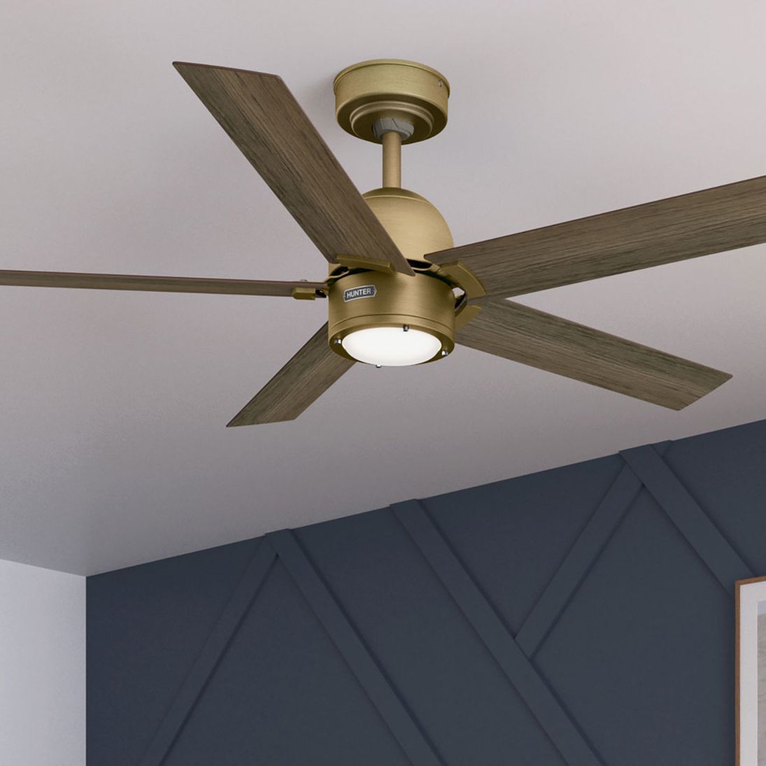 Hunter Erling Gold Collection