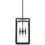 Hunter Felippe Onyx Bengal with Seeded Glass 8 Light Pendant