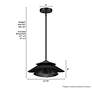 4_Hunter Hiro Matte Black 1 Light Large Pendant Ceiling Light Fixture more views