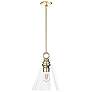 Hunter Klein Alturas Gold with Clear Glass 1 Light Pendant
