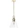 Hunter Klein Alturas Gold with Clear Glass 1 Light Pendant
