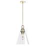 Hunter Klein Alturas Gold with Clear Glass 1 Light Pendant