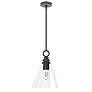 Hunter Klein Noble Bronze with Clear Glass 1 Light Pendant Ceiling