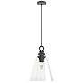 Hunter Klein Noble Bronze with Clear Glass 1 Light Pendant