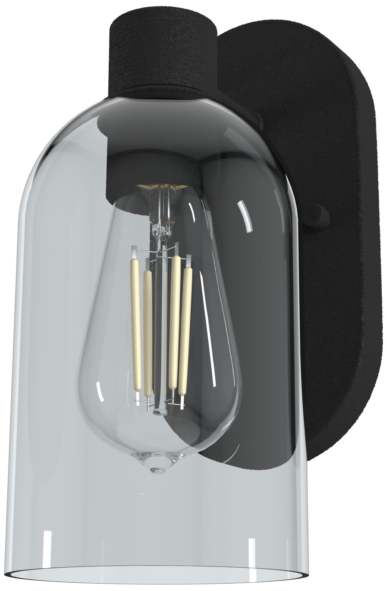 Hunter Lochemeade Natural Black Iron with Smoked Glass 1 Light Sconce