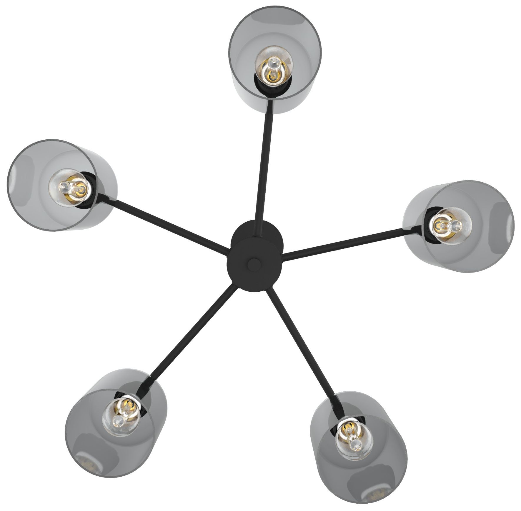 Hunter Lochemeade Natural Black Iron with Smoked Glass 5 Light Chandelier