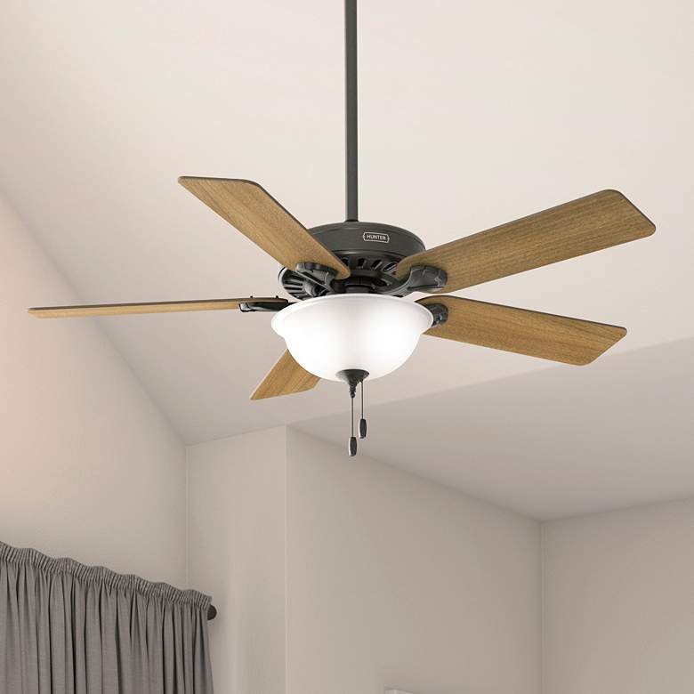 Image 1 Hunter Pro's Best LED 52 in Noble Bronze ENERGY STAR Indoor Fan