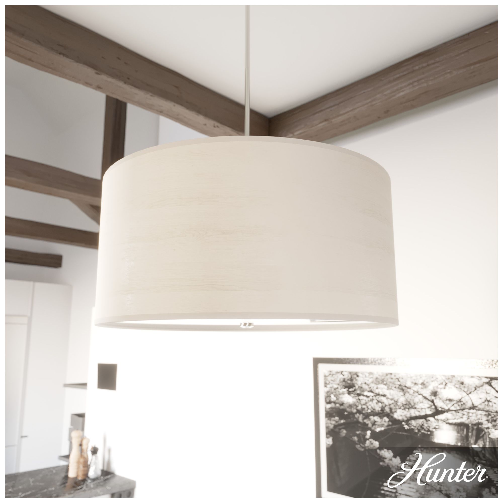 Image 6 Hunter Solhaven Bleached Alder and Brushed Nickel 4 Light Pendant more views