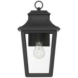 Hunter Spring Cove Matte Black Outdoor 1 Light Medium 15 Inch Wall Light