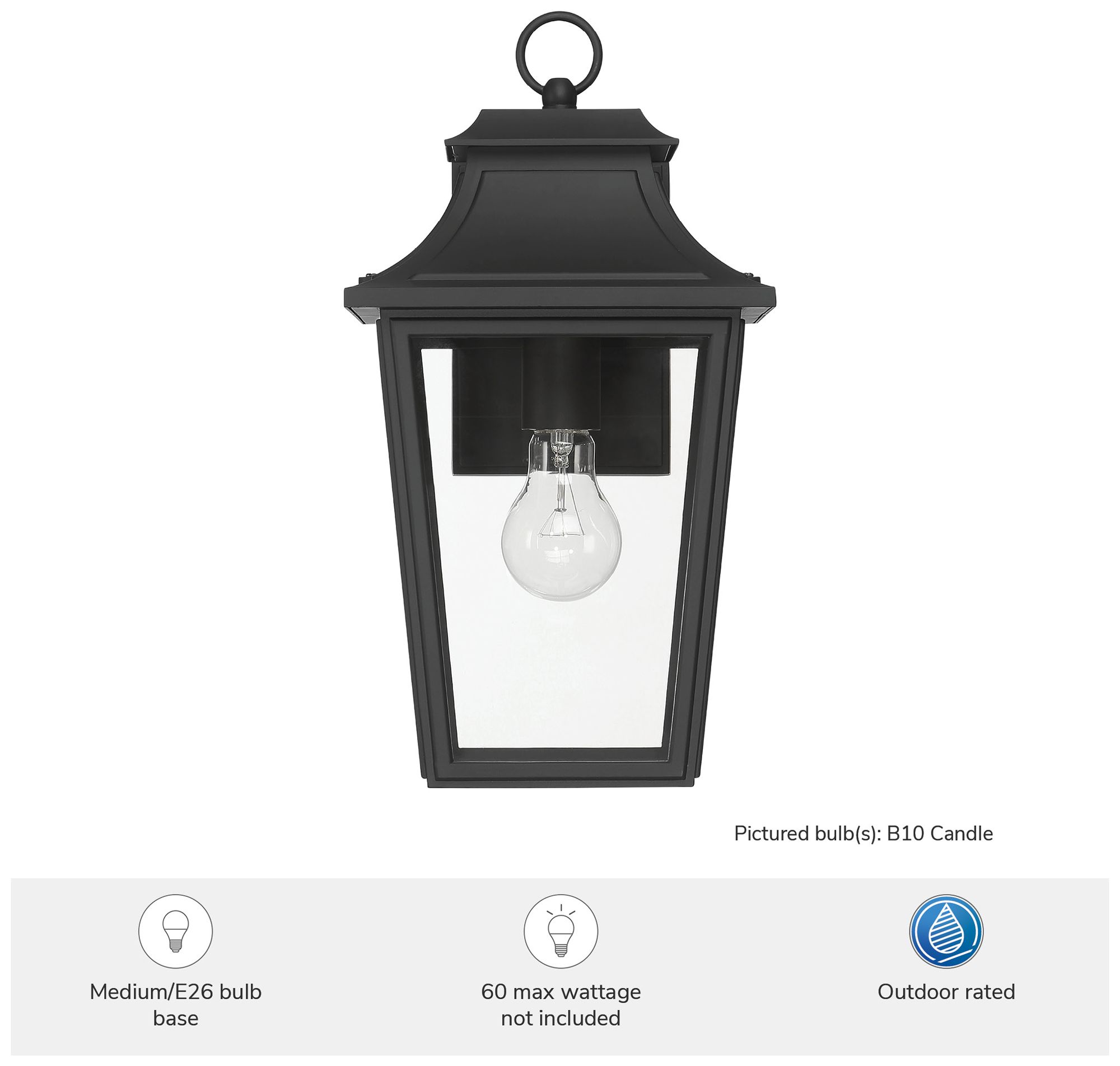 Image 5 Hunter Spring Cove Matte Black Outdoor 1 Light Medium 15 Inch Wall Light more views