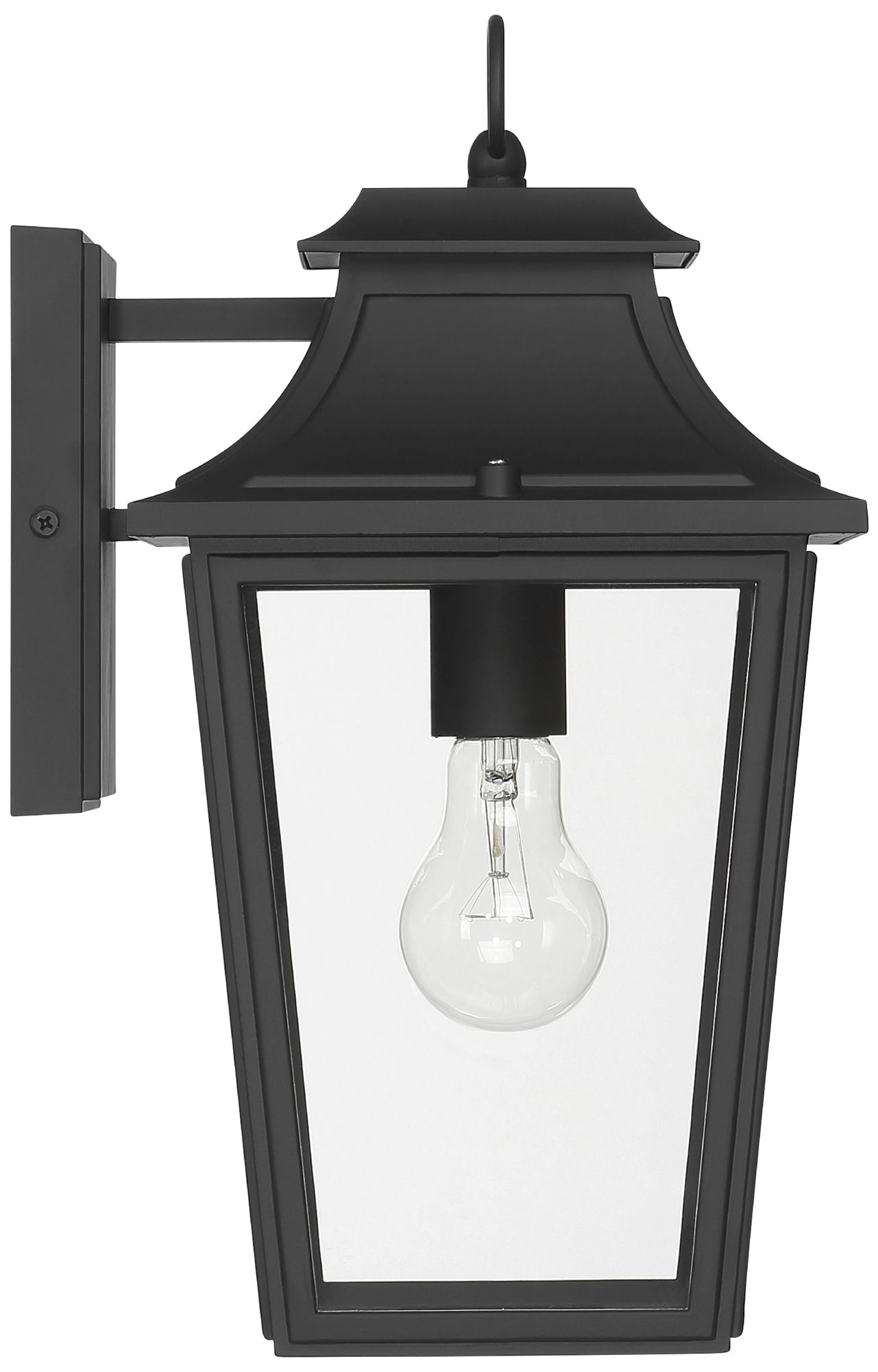 Hunter Spring Cove Matte Black Outdoor 1 Light Medium 15 Inch Wall Light