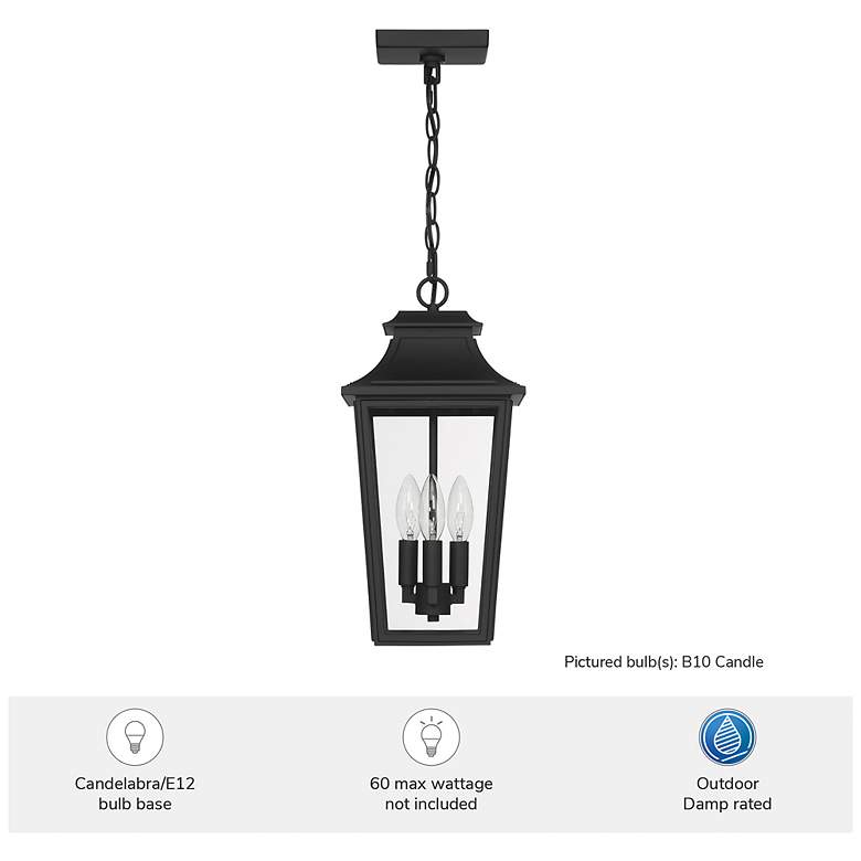 Image 5 Hunter Spring Cove Matte Black Outdoor 3 Light Large 17 Inch Pendant more views