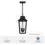 5_Hunter Spring Cove Matte Black Outdoor 3 Light Large 17 Inch Pendant more views