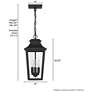 6_Hunter Spring Cove Matte Black Outdoor 3 Light Large 17 Inch Pendant more views