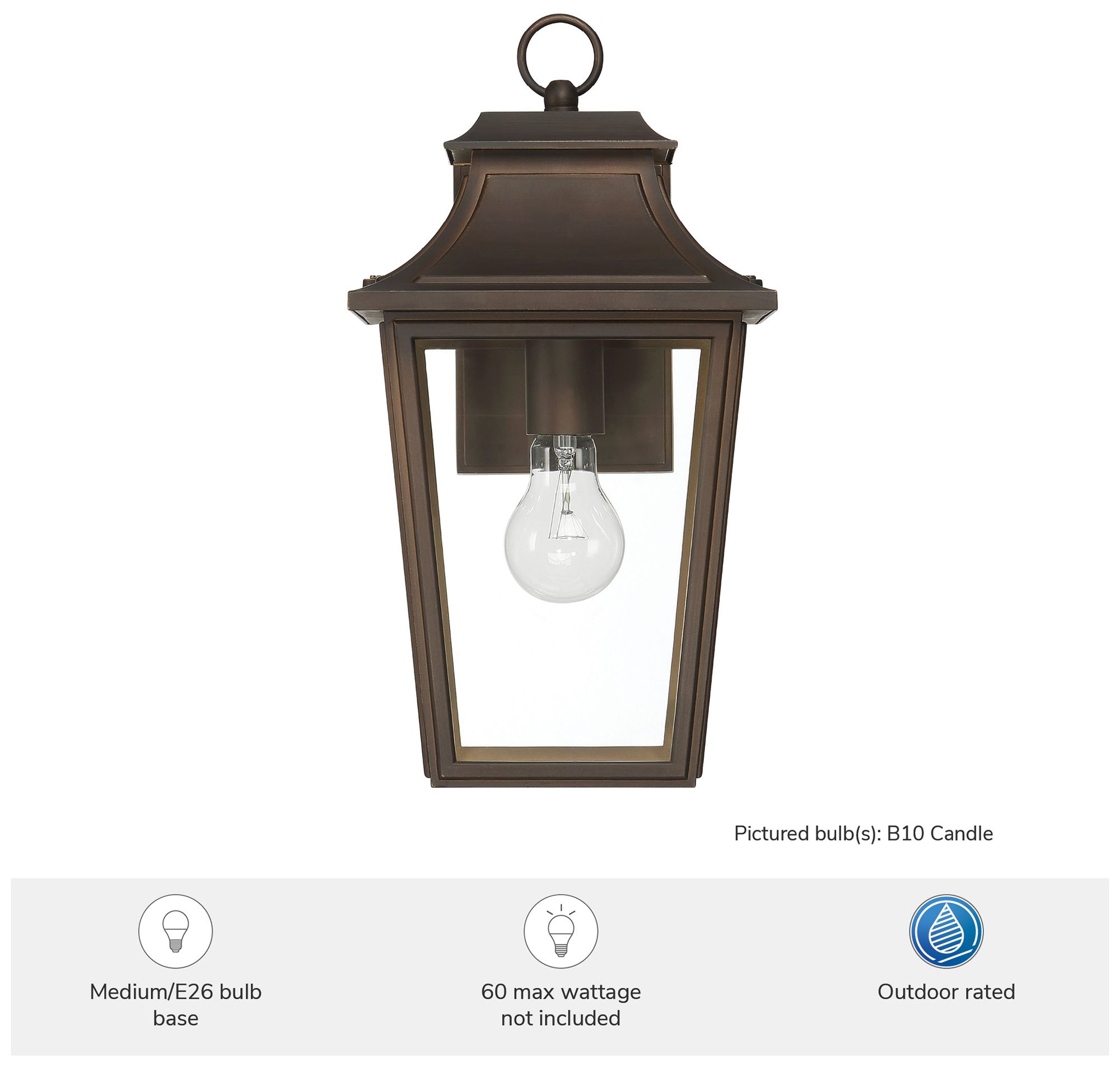 Image 5 Hunter Spring Cove Matte Bronze Outdoor 1 Light Medium 15 Inch Wall Light more views