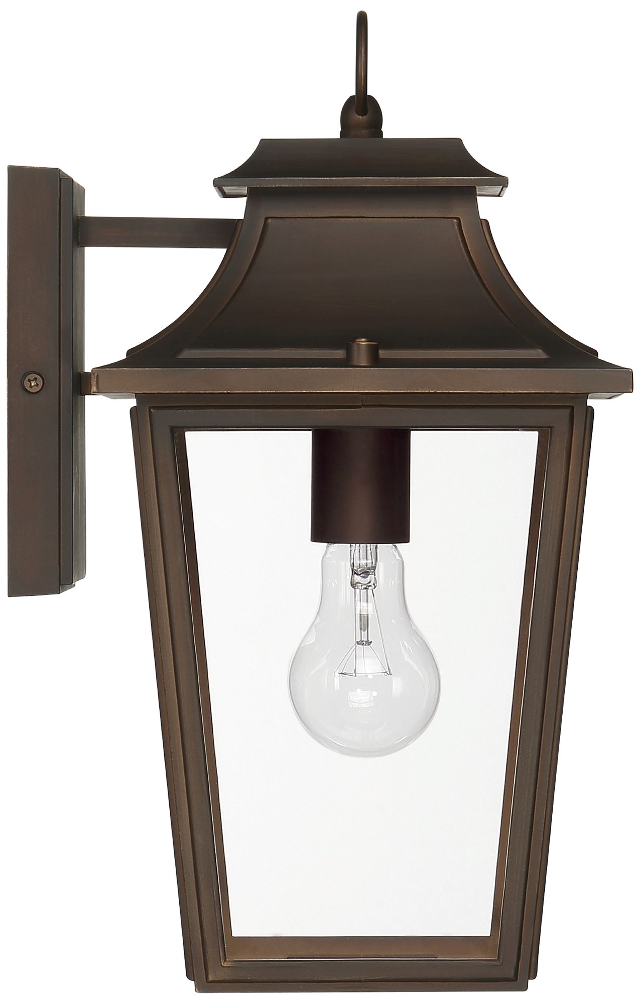 Hunter Spring Cove Matte Bronze Outdoor 1 Light Medium 15 Inch Wall Light