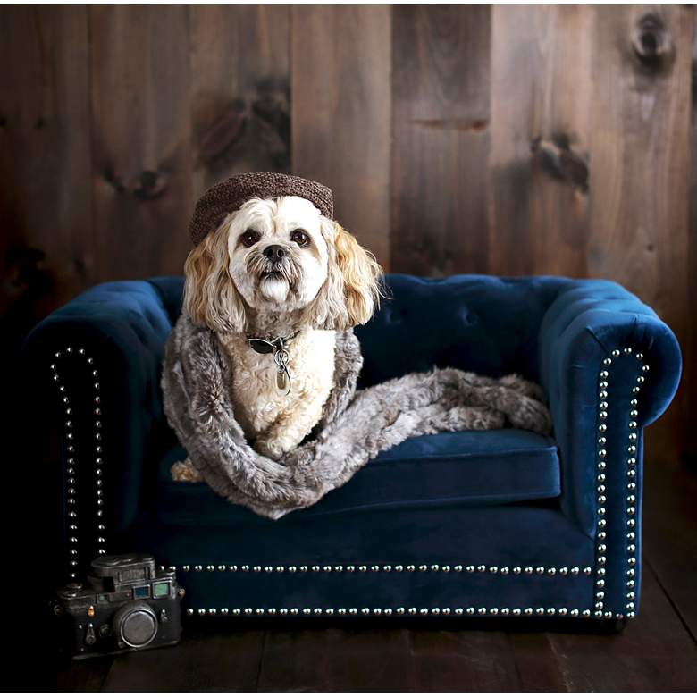 Image 6 Husky Navy Velvet and Wood Pet Bed more views