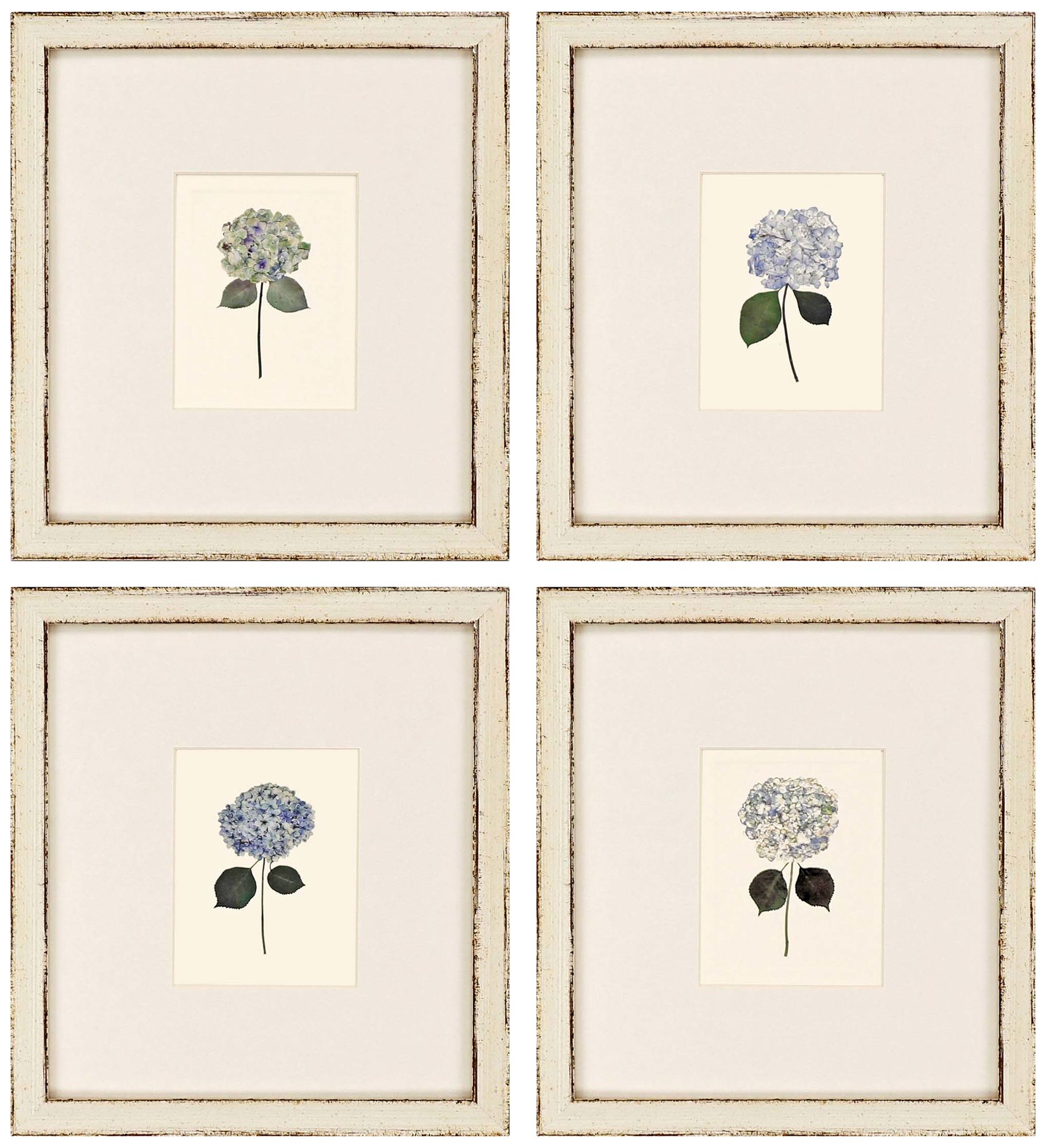 Hydrangea Minis 13" High 4-Piece Framed Wall Art Set