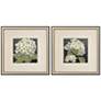 2_Hydrangeas On Black 19" Wide 2-Piece Framed Wall Art Set