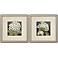 Hydrangeas On Black 19" Wide 2-Piece Framed Wall Art Set