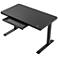 Ian 47 1/4"W Black Adjustable Sit/Stand Desk with USB Port