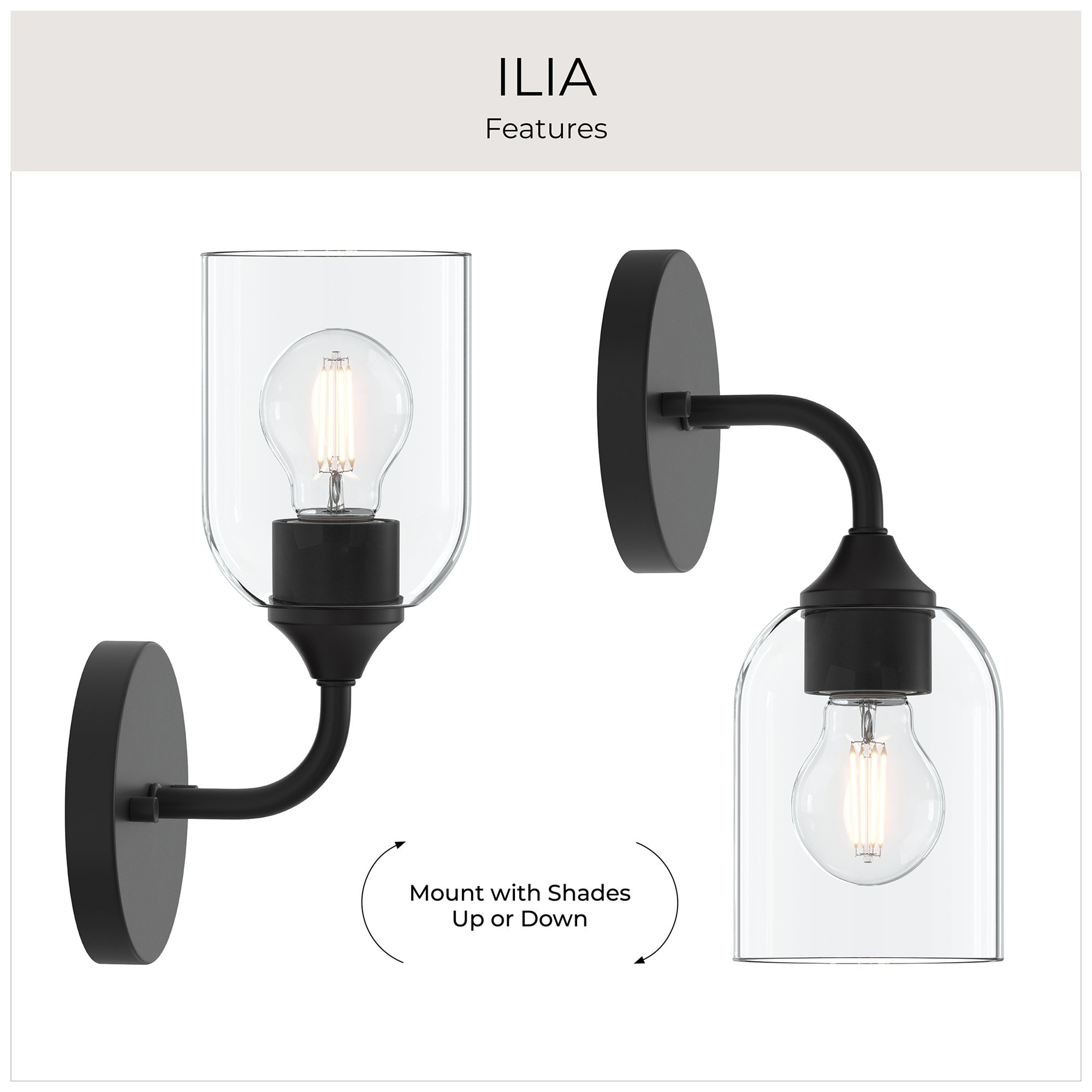 Ilia 1-Light Wall Sconce with Clear Glass Shade
