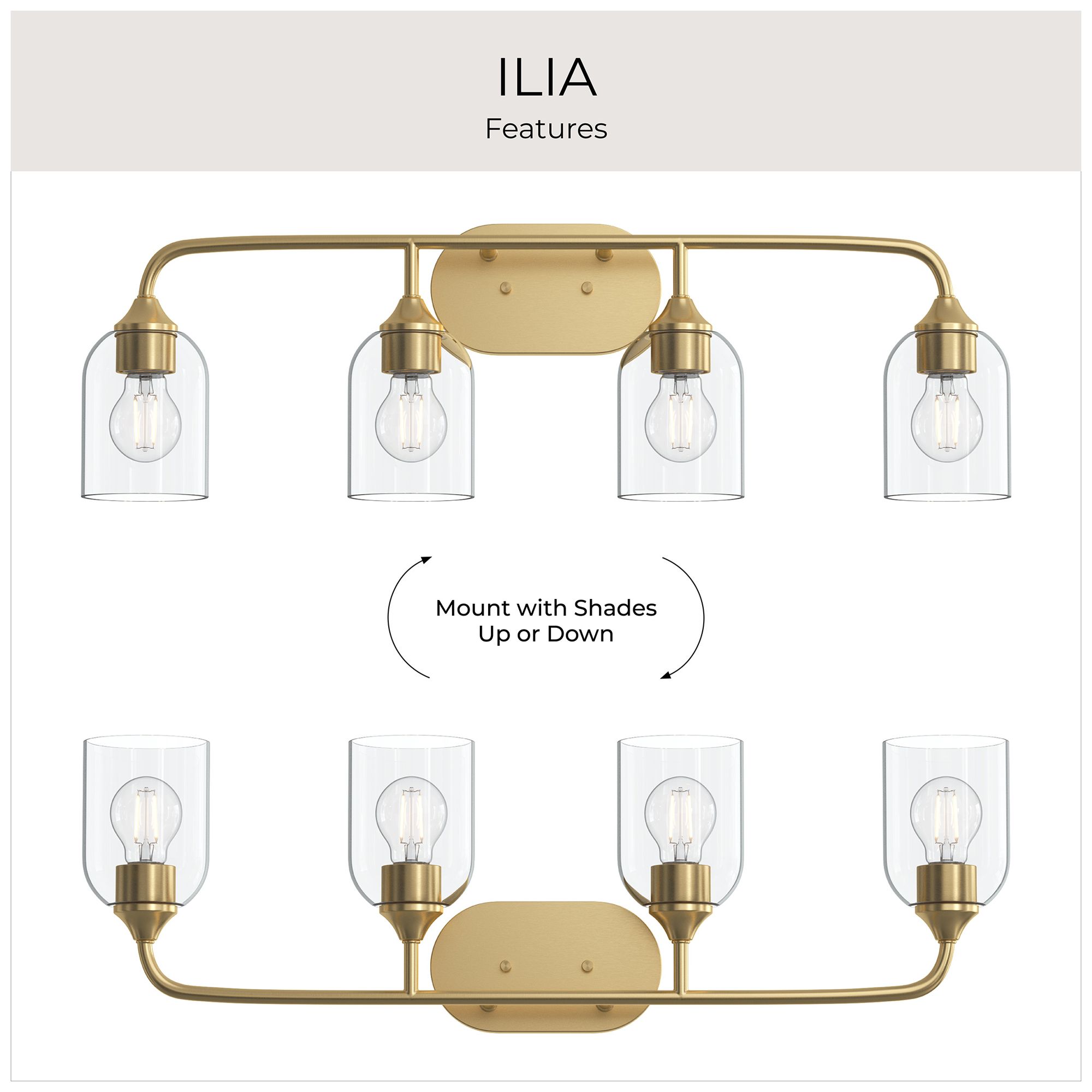 Ilia 4-Light Bath Vanity with Clear Glass Shade