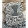 Illinois Block I 11" High Trevia Graystone Stepping Stone