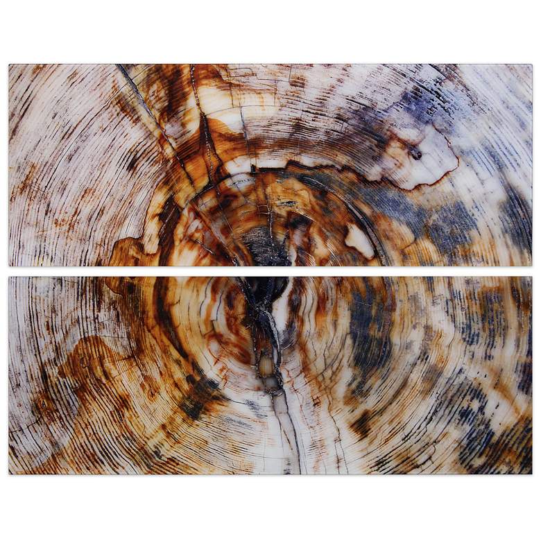 Image 6 Impact Abstract 63" High 2-Piece Tempered Glass Wall Art Set more views