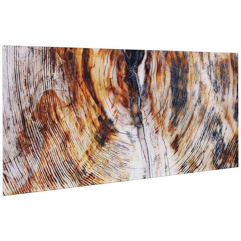 Image 4 Impact B 63"W Free Floating Tempered Glass Graphic Wall Art more views