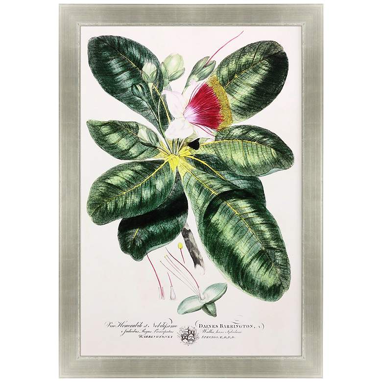 Image 1 Imperial Tropical I 53" High Giclee Framed Wall Art