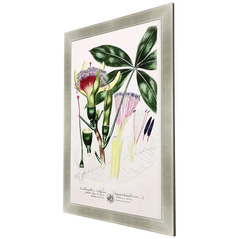 Image 3 Imperial Tropical II 53" High Giclee Framed Wall Art more views