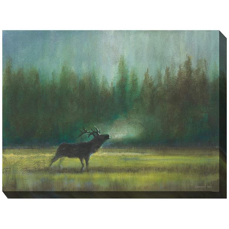 Image 2 In the Wild 40" Wide Rectangular Outdoor Canvas Wall Art