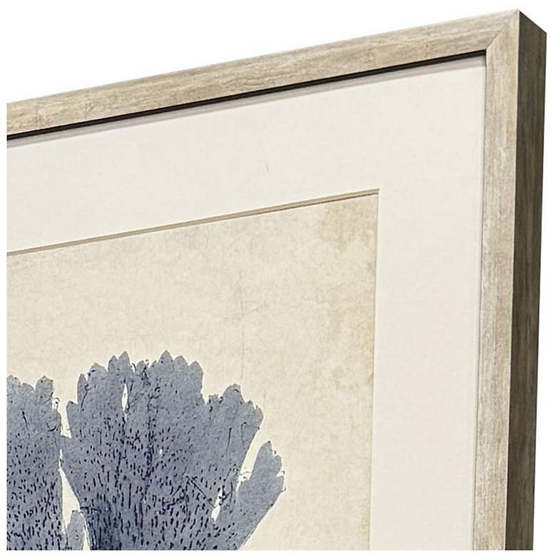 Image 3 Indigo Sea Life 17"W x 19"H Coastal Framed Art Set of 4 more views