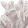 Inna White 9 1/4" Wide Faux Elkhorn Coral Sculpture