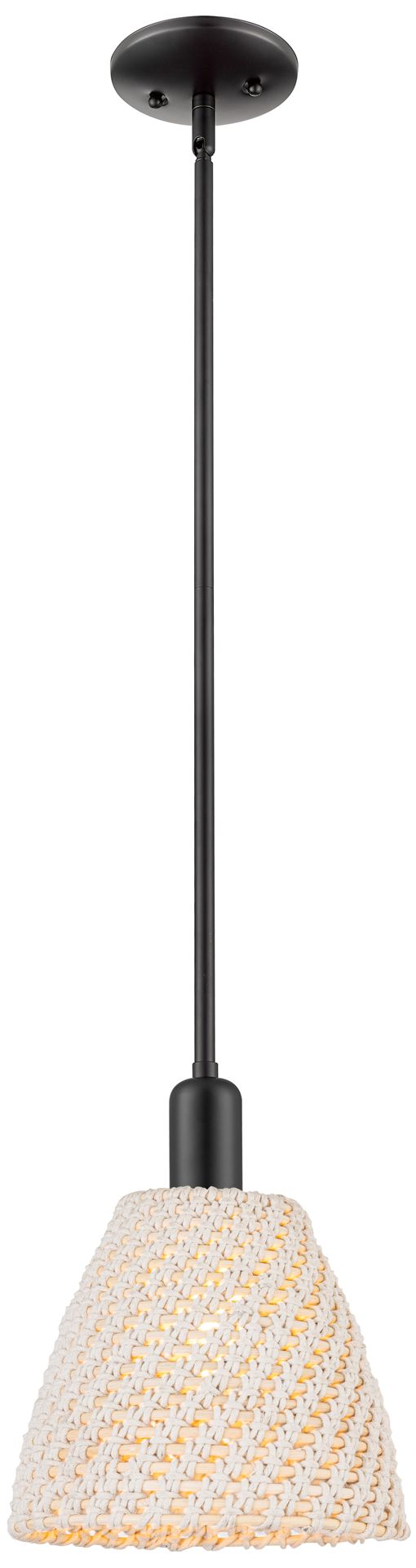 Innovations Lighting Natural Ballston Dome Black Collection