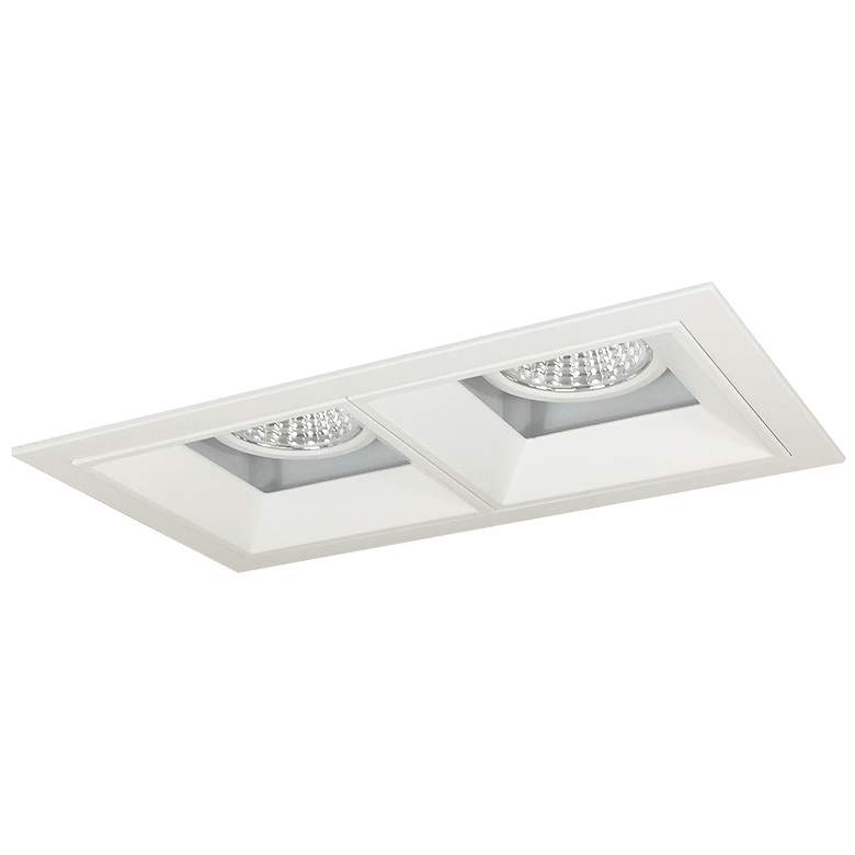 Image 1 Iolite Multiple 4" White 2-Head 1000lm LED Fixed Downlight
