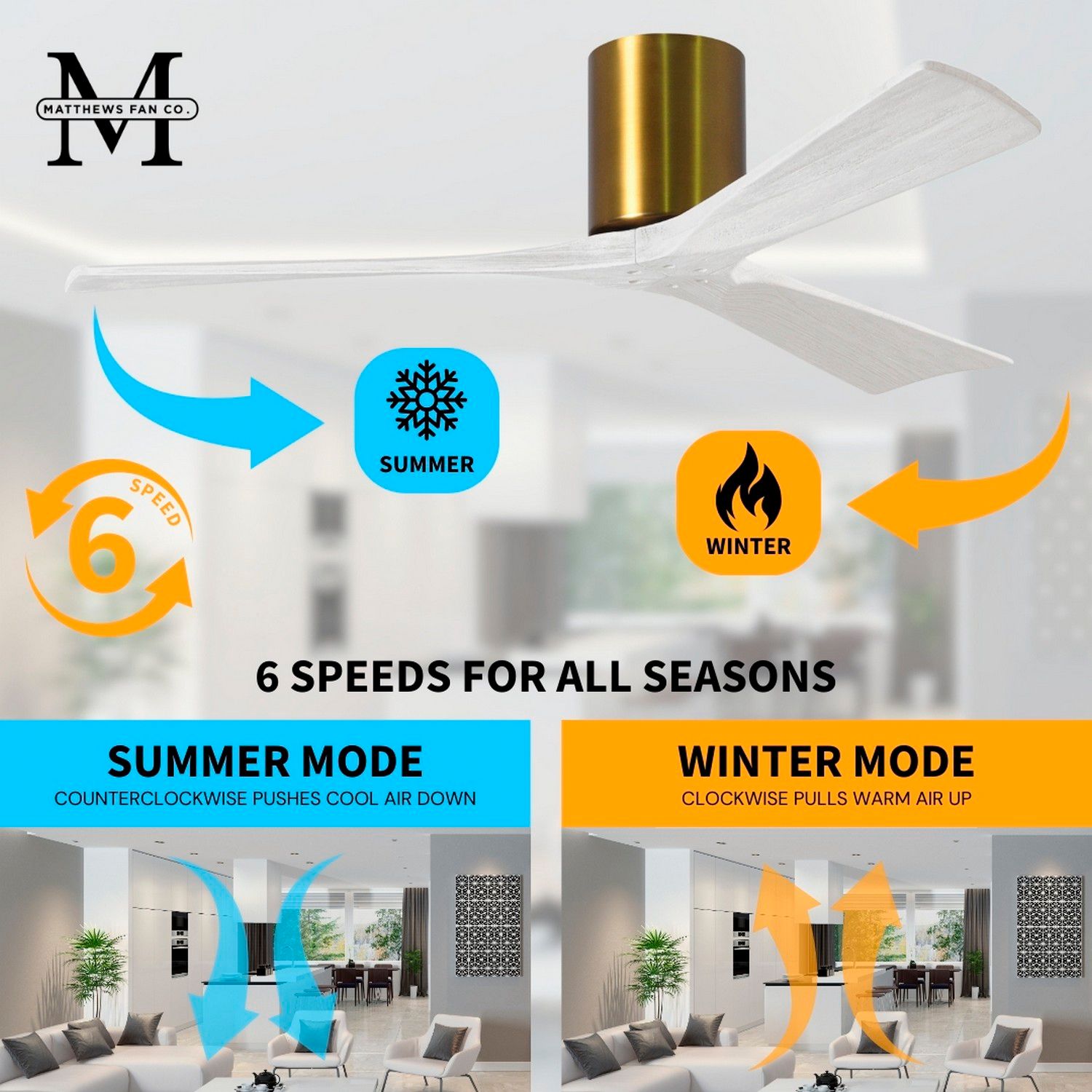 Irene.3H 42"W 3 Blade Brushed Brass Paddle Fan w/ Matte White Blades