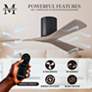 Irene.3H 48"W 3 Blade Matte Black Paddle Fan w/ Gray Ash Tone Blades