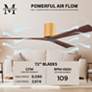 Irene.3H 72"W 3 Blade Light Maple Paddle Fan w/ Walnut Tone Blades