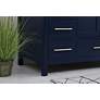 6_Irene 48" Wide Blue 9-Drawer Single Sink Bathroom Vanity more views