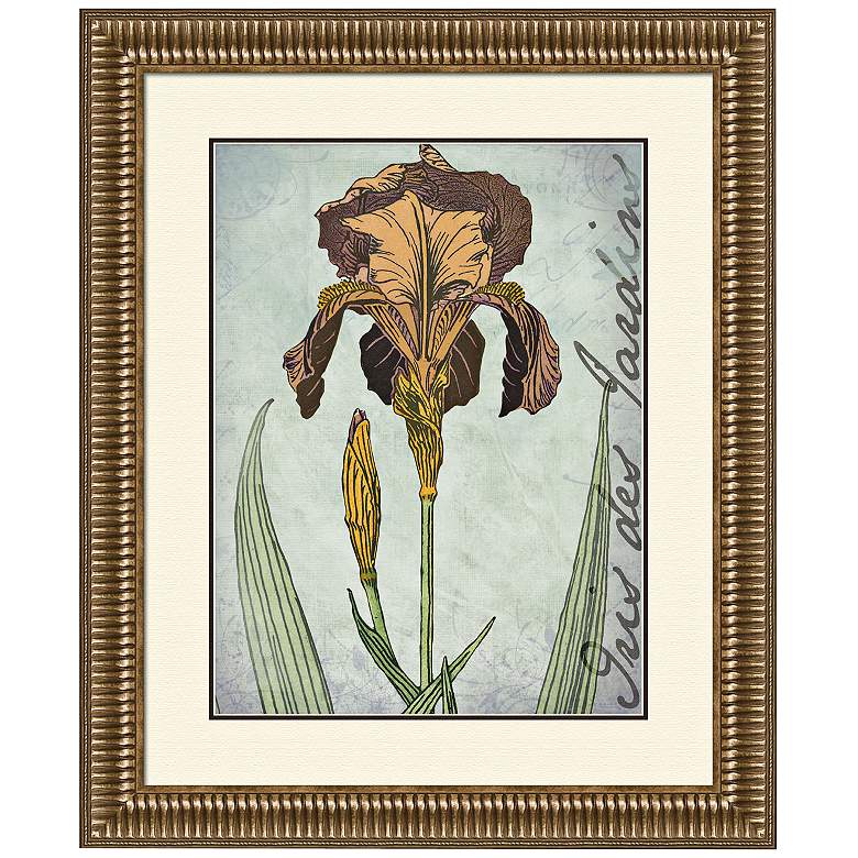 Image 1 Irises Golden I 29 1/4 inch Wide Wall Art