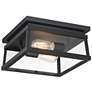 2_Isla Vista 12" Wide Coal 2-Light Outdoor Ceiling Light