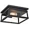 Isla Vista 12" Wide Coal 2-Light Outdoor Ceiling Light
