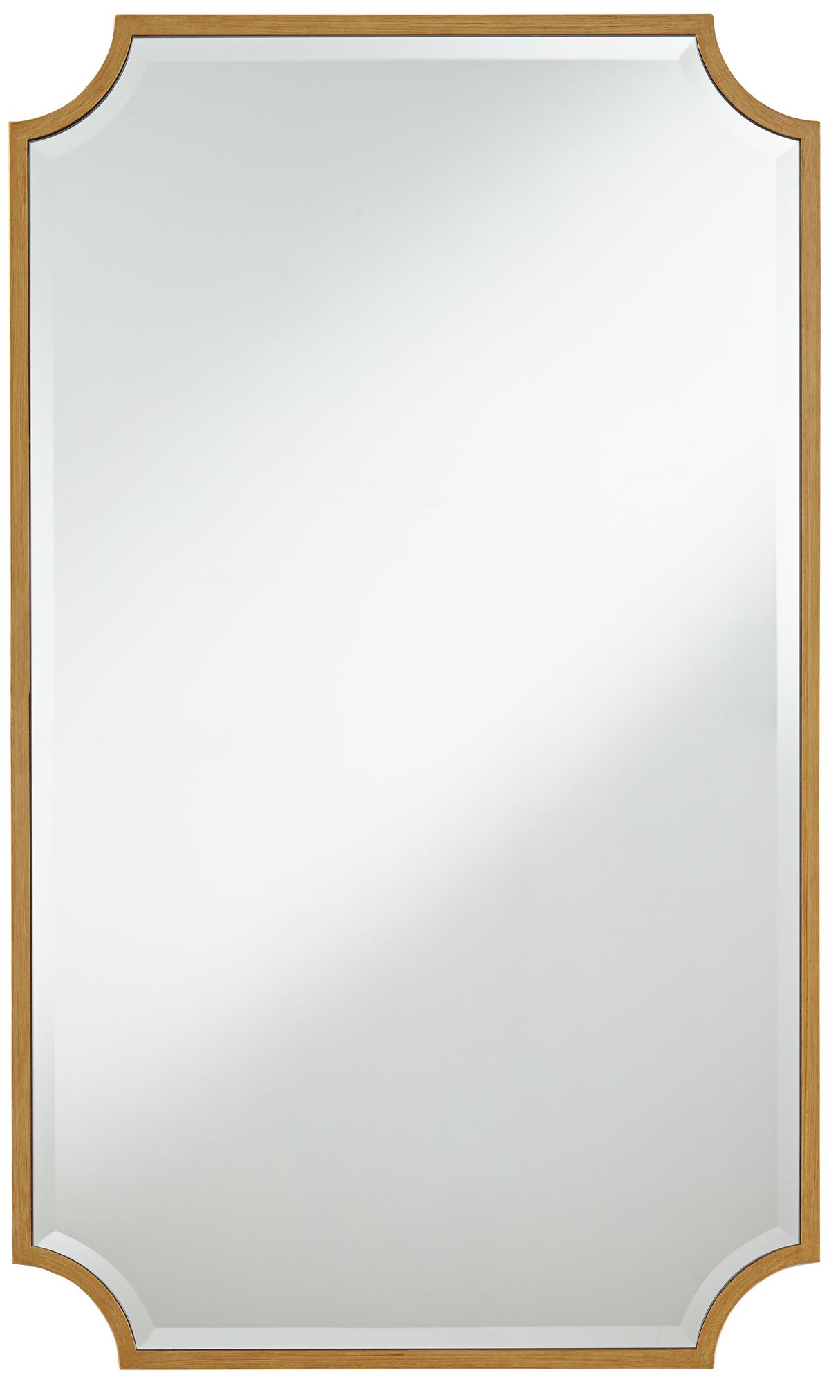 Image 3 Jacinda Antique Gold 24" x 40" Rounded Cut Edge Wall Mirror