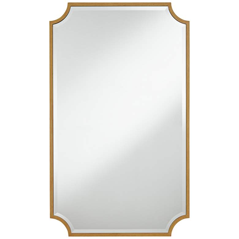 Image 3 Jacinda Antique Gold 24" x 40" Rounded Cut Edge Wall Mirror